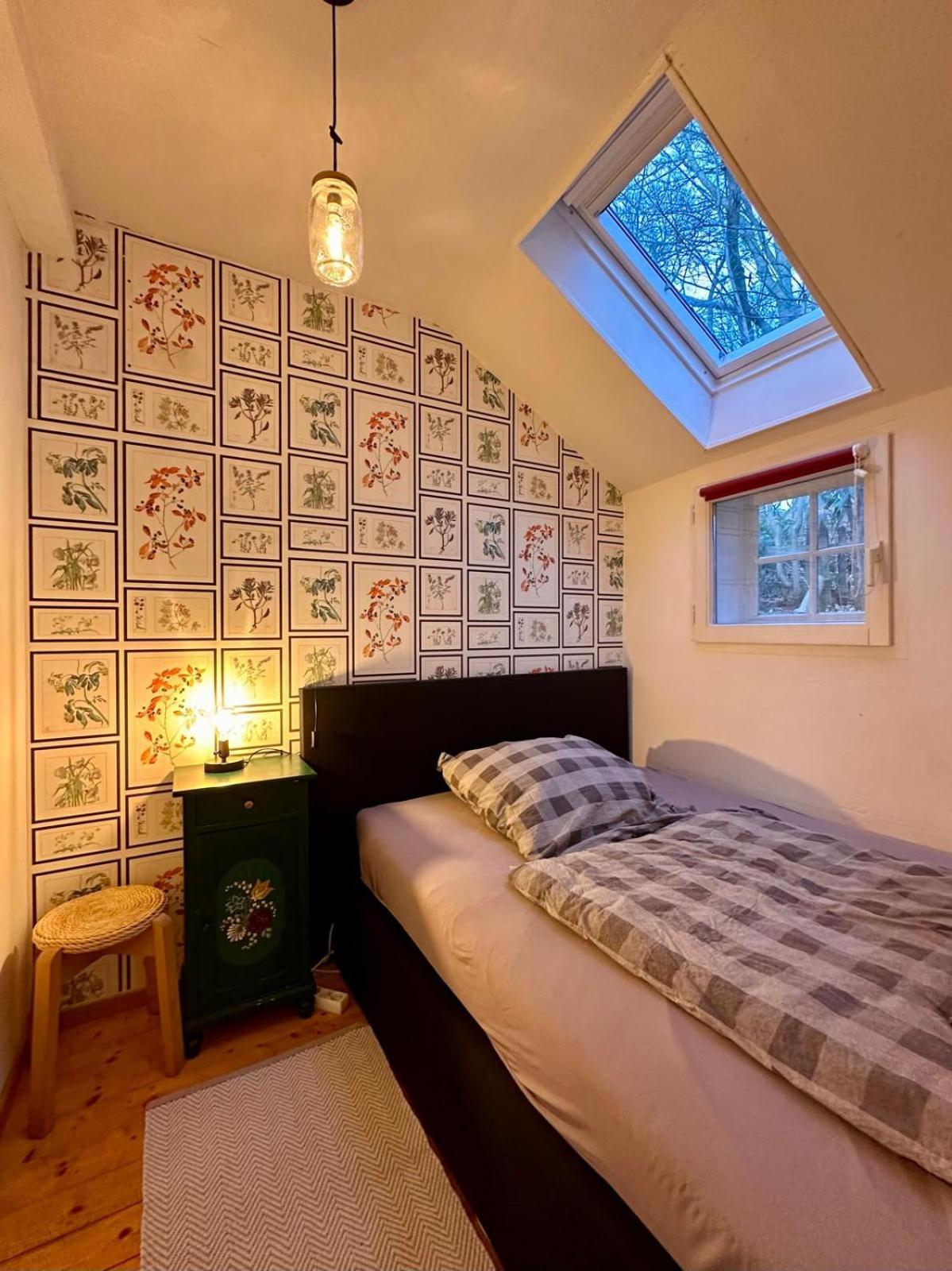 Willi Ohler Haus Appartement
